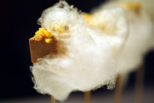 Cotton Candy Foie Gras