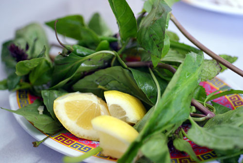 Thai Basil, Sawtooth, Cilantro, Mint, Lemon