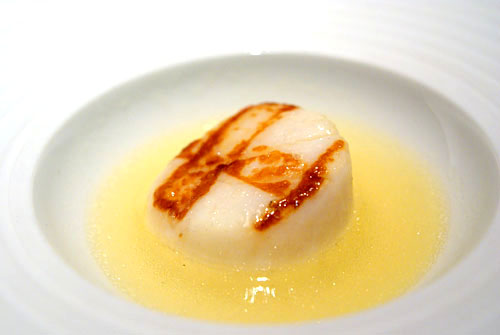 Scallop | Champagne