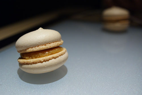 Salted Caramel and Brown Butter Macarons