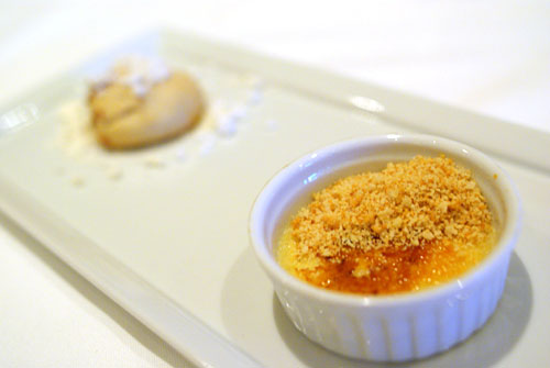 BISCUIT crème brûlée